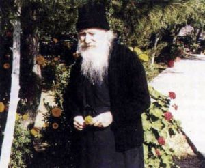 saint-porphyrios-fleur