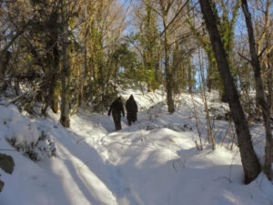 moines-dans-la-neige